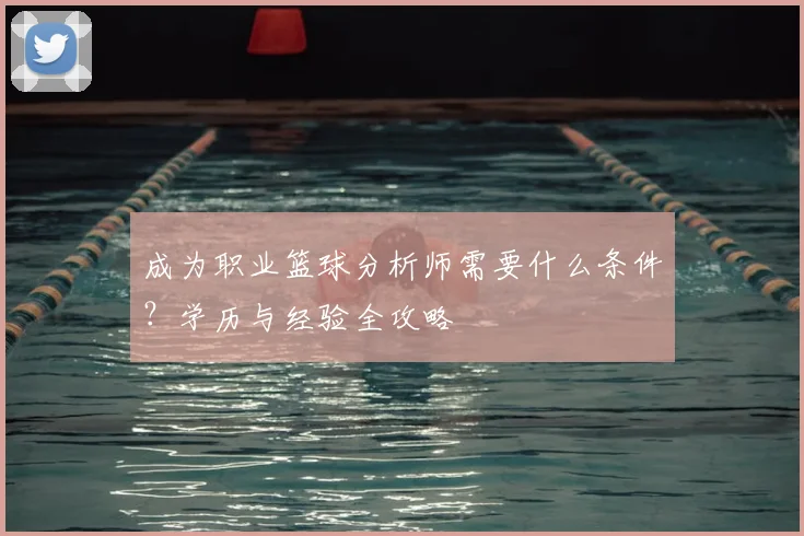 成为职业篮球分析师需要什么条件?学历与经验全攻略
